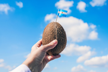 Tropical coconut with the Argentinian flag in the form of a toothpick in female hands. Travel concept.