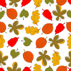 Colorful bright autumn background with maples, oaks, chestnut trees and elms leaves, red berries and acorns. Hand drawn vector seamless pattern.