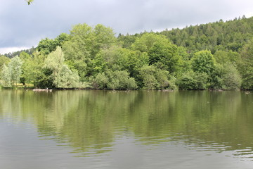 Reflection in the water - Salem, Lake Constance