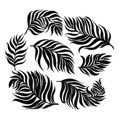 Tropical leaves palm. Jungle leaf tropic set. Hand drawn exotic leves. Vector. Set of palm leaves silhouettes isolated on white background. Vector EPS10