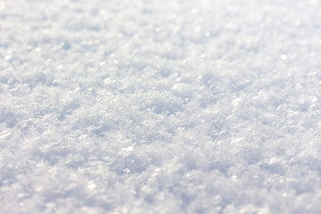 Texture of fluffy snow. It is snowy winter_