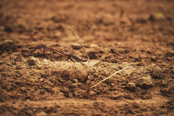 Fragment of an empty autumn field.