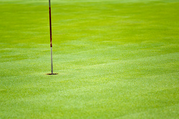 Obraz premium Golf hole in a green grass field background