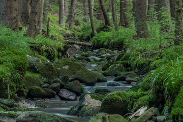 Fototapeta na wymiar Bystrina creek in summer nice morning in Krusne mountains near Sokolov town