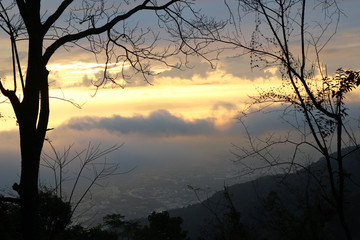 View on a city from mountain with beautiful colorful sky at sunrise and trees on a foreground. Doi Suthep, Thailand