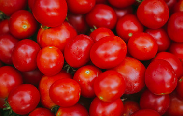 Fresh small cherry tomato. Freshly picked organic cherry tomatoes. Small red tomatoes.