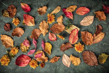 Autumn leaves over green vintage background