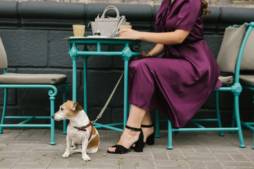 street cafe coffee break with dog. Blue and purple. Big city street style