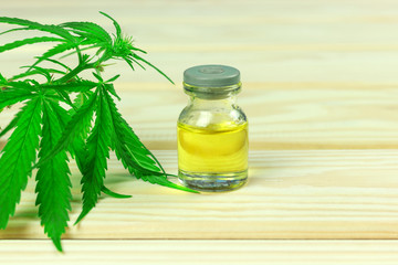 glass bottle with hemp oil among hemp leaves, light wooden background	