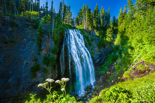 Narada Falls on a sunny blue sky day Mt. Rainier National Park.