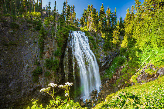 Narada Falls on a sunny blue sky day Mt. Rainier National Park.
