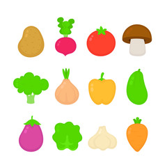 Organic raw vegetable collection set