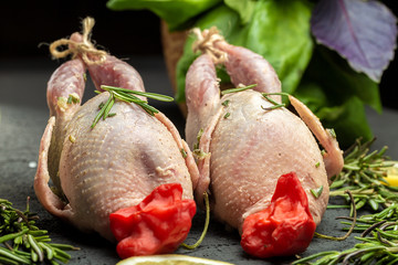 Fresh raw meat quails with herbs and greens rosemary, basil ready for cooking on close-up. Uncooked quail.
