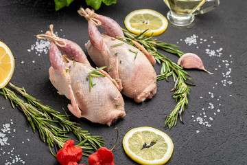 Fresh raw meat quails with herbs and greens rosemary, basil ready for cooking on close-up. Uncooked quail