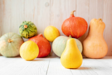 Decorative yellowpumpkin Pumpkins in front of white wooden wall