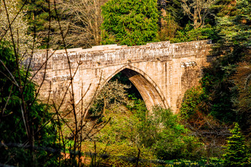 Fototapeta na wymiar Medieval stone bridge over river surrounded by trees in sunny day, Scotland, UK