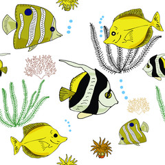 Seamless pattern of bright yellow tropical fish and corals on a white background. The inhabitants of the Red Sea. Feature article. Freehand drawing.