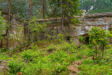 Die Natur herrscht über die Ruine eines Bunkers im Wald