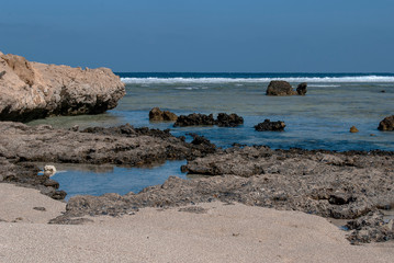 Fototapeta na wymiar The coastline of Egypt and the Red Sea