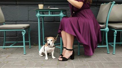 dog is sitting under the table. The girl is drinking coffee. Purple dress fluttering in the wind. Video footage. Street cafe