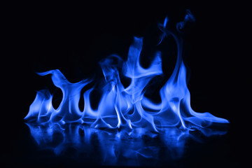 Beautiful fire blue flames on a black background.