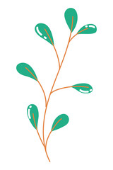 Isolated leaves vector design vector illustration