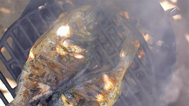  Gilt-head bream dorade grilled nature