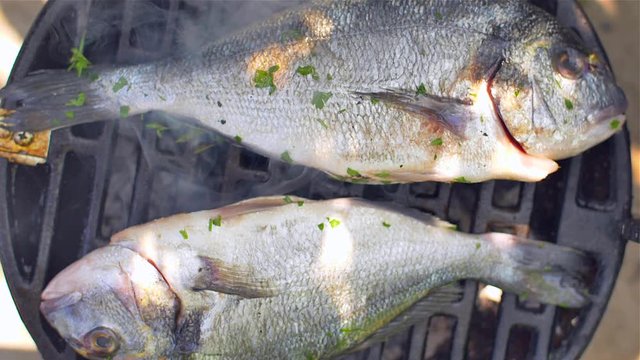  Gilt-head bream dorade grilled nature