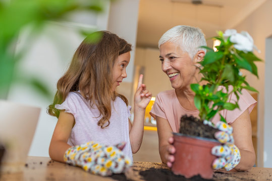 Happy Grandmother with her granddaughter taking care of plants at home. Gardening, family and people concept - happy grandmother and granddaughter caring for house plant