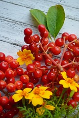Useful berry viburnum, on wooden background.