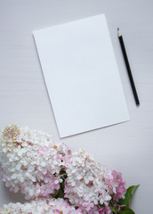 White and pink hydrangea at white background, top view mockup for your design,  copy past space