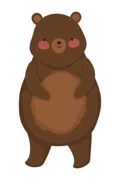 Isolated bear cartoon vector design