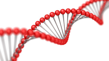 Human DNA strand. digital 3d illustration isolated on the white background, clipping path included. Science and medical technology. Genetic research.