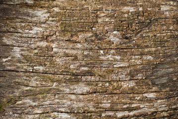Texture of old wooden board. Dirty and scratched board.