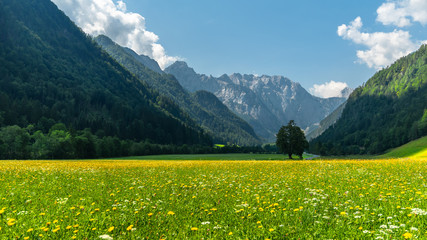 Logarska