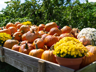 Pumpkins and flowers in a wagon