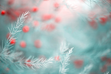 Abstract soft blue nature background. Branches of asparagus and red berries, defocus, copy space.