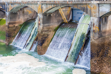 Open Sluice Gates in Ballard Locks