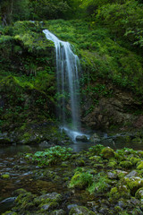 Beautiful green colorful small waterfall