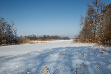 winter rural landscape with snowy trees and blue sky