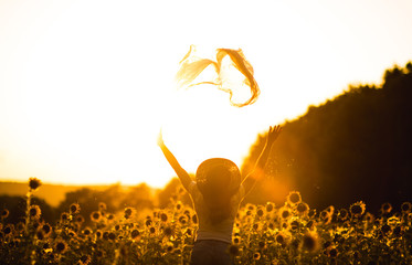 Young beautiful girl on a sunflower field at sunset. Beautiful photo on the screen saver
