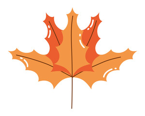 Isolated leaf vector design vector illustration