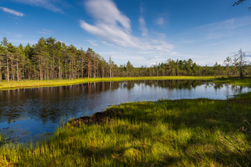 Viru bog in Lahemaa National Park; Estonia