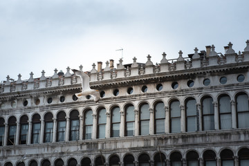 Fototapeta na wymiar A building on St. Mark's Square in Venice with a seagull flying past him. With free space for inscription