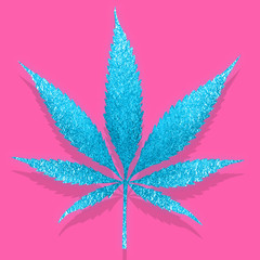 Ice cannabis leaves isolated on white background Growing medical marijuana cbd