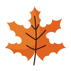 Isolated leaf design vector illustration