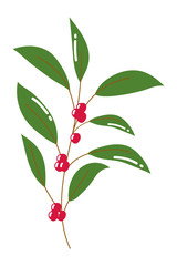 Isolated leaves vector design vector illustration