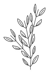 Isolated leaves design vector illustration