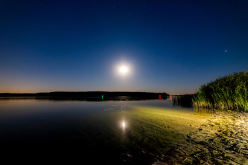 Lake or river sand shore with trees and dark blue starry sky and city light on background. Tranquil nature night landscape