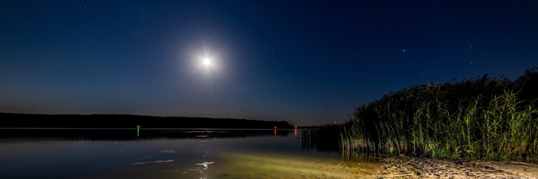 Lake or river sand shore with trees and dark blue starry sky and city light on background. Tranquil nature night landscape